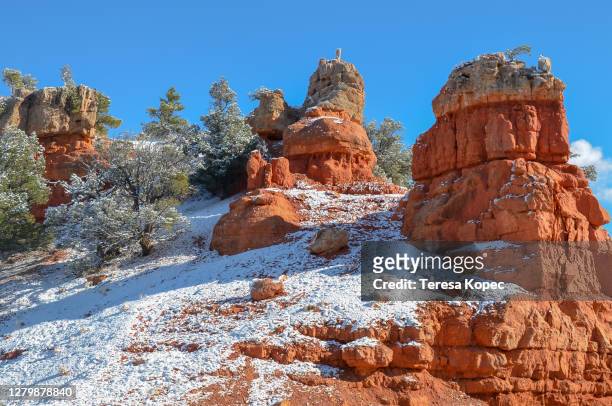 scenes from southern utah - southern utah stock pictures, royalty-free photos & images