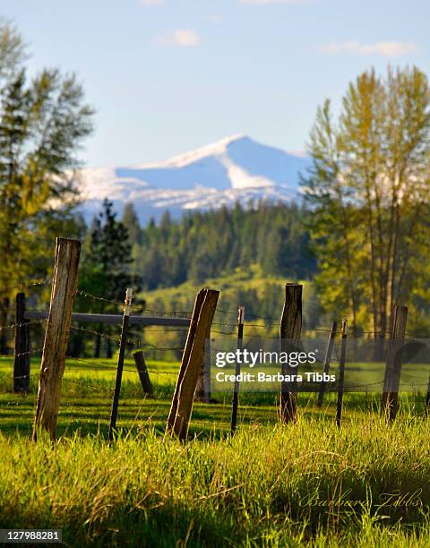 snowy mountain fence - sandpoint stock pictures, royalty-free photos & images