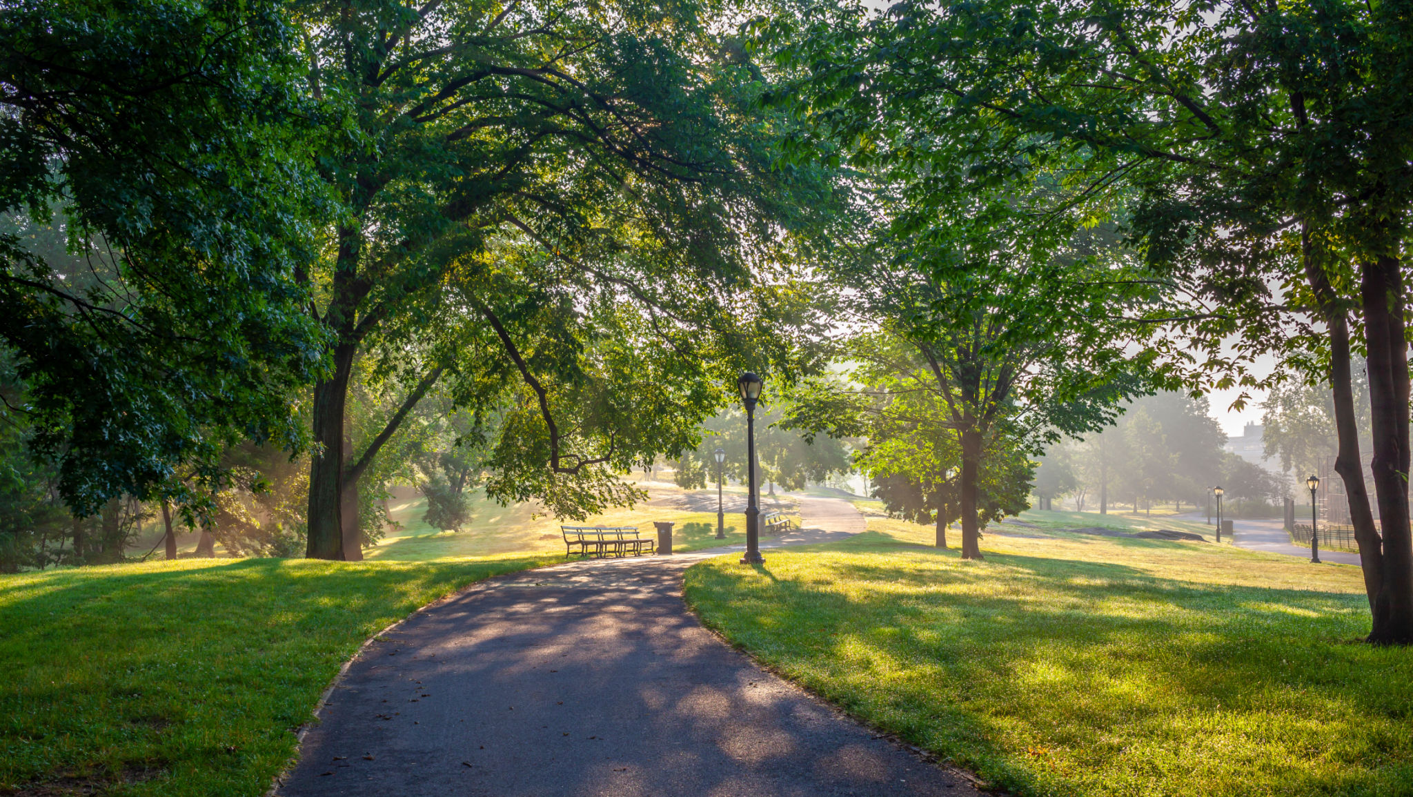 central park trail