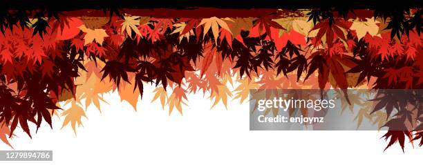 autumn leaves vector header - leaf epidermis stock illustrations
