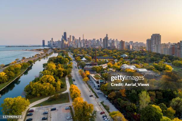 colores de otoño en lincoln park - chicago - chicago illinois fotografías e imágenes de stock