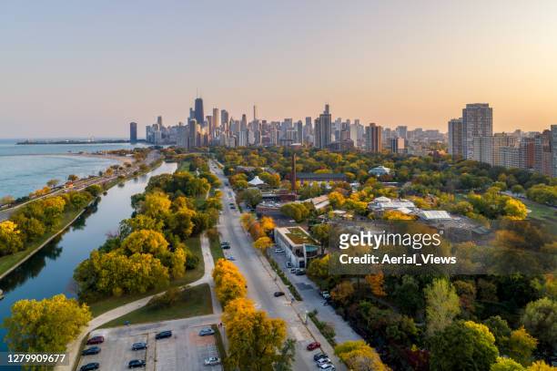 fall colors in lincoln park - chicago - cityscape stock pictures, royalty-free photos & images