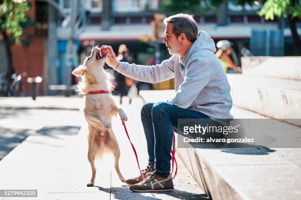 an active senior man playing with his dog at the park - middle age man and walking the dog stockfoto's en -beelden