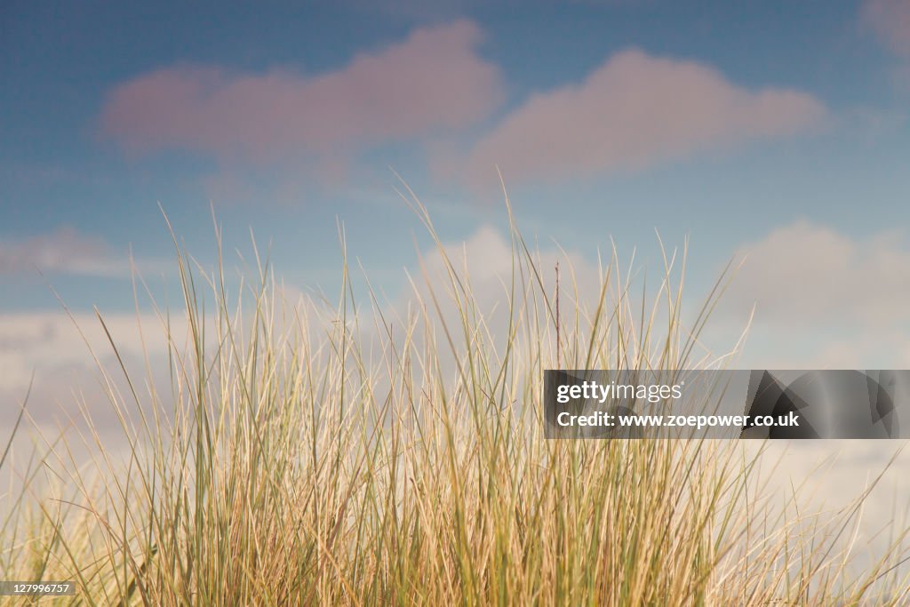 Sand dunes against pale blue sky and fluffy clouds