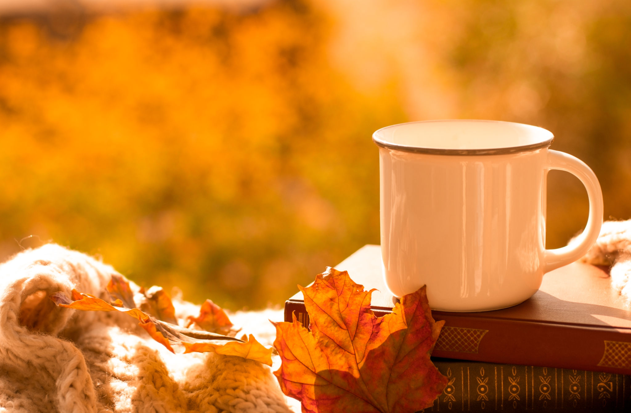 cozy autumn study