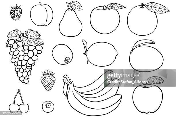 einfache zeichnungen von früchten zum malen von büchern - mango fruit stock-grafiken, -clipart, -cartoons und -symbole