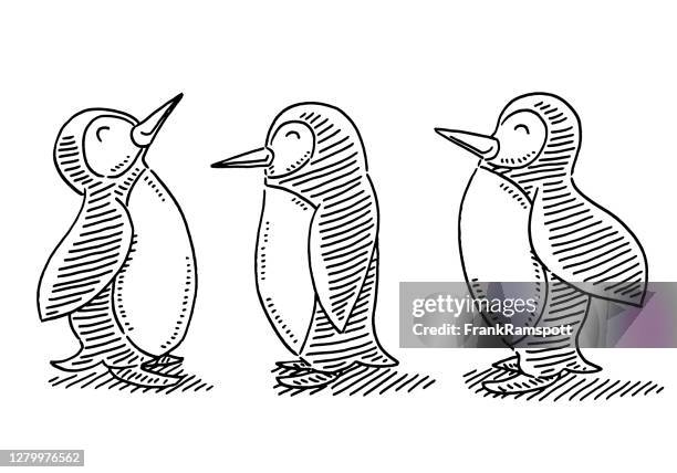 186点のペンギン 群れイラスト素材 Getty Images 186点のペンギン 群れイラスト素材 Getty Images