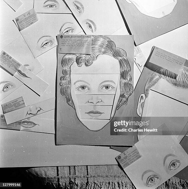 composite face - 1954 stockfoto's en -beelden