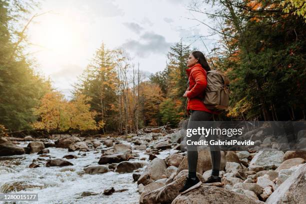 hiking in the adirondack mountain in the fall - lake placid stock pictures, royalty-free photos & images