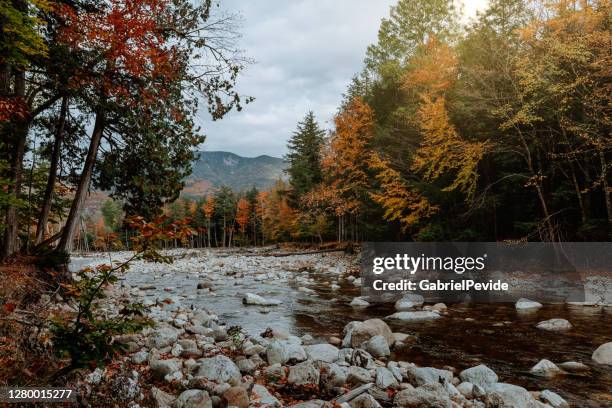 wandern im adirondack im herbst - adirondack state park stock-fotos und bilder