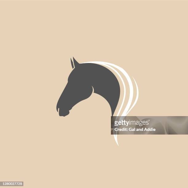 stockillustraties, clipart, cartoons en iconen met het hoofd van het paard - stallion