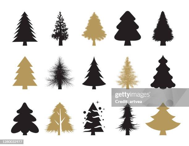 christmas trees - fir tree stock illustrations