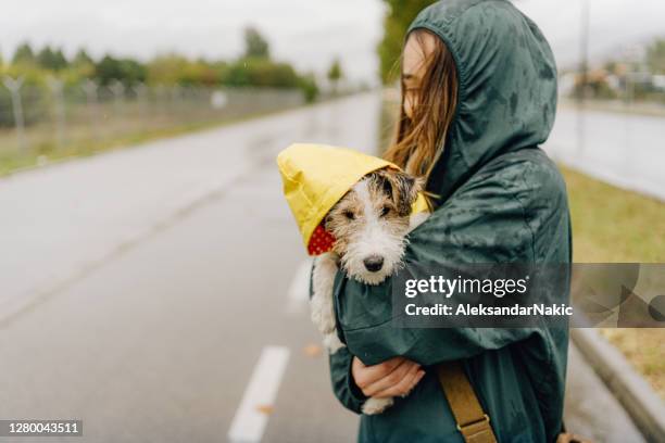 het lopen van mijn hond op een regenachtige dag - alleen één jonge vrouw stockfoto's en -beelden