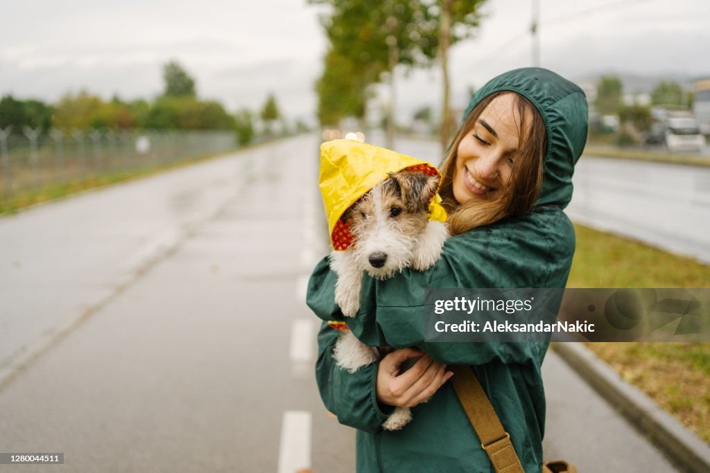 Gehen Sie meinen Hund an einem regnerischen Tag