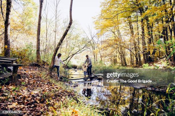 father helping small child cross a stream in forest - american red cross fotografías e imágenes de stock