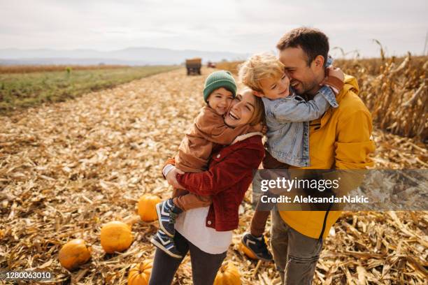 portrait of a young family on a pumpkin field - pumpkin patch stock pictures, royalty-free photos & images