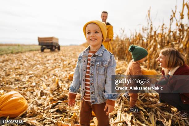 pumpkin patch adventure with our dad and mom - october 2020 stock pictures, royalty-free photos & images