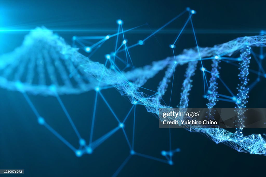 Abstract digital network DNA structure