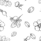 Hand drawn vector seamless pattern of rosehip, leaf, berry. Black and white illustration.