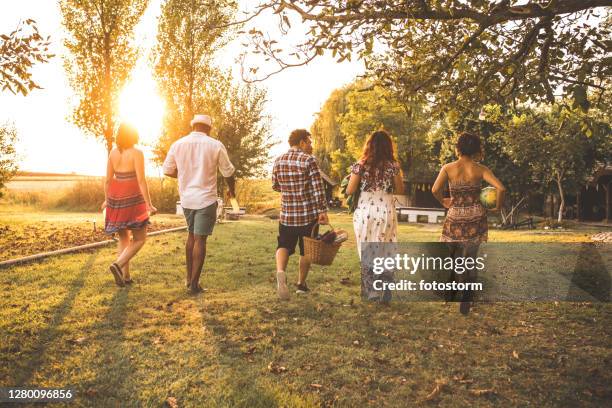 niets is te vergelijken met een fantastische zomerpicknick met je vrienden - mexican picnic stockfoto's en -beelden