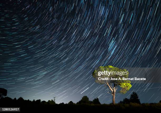 night landscape with the silhouette of an alone solitary tree in a great plain, a night of blue sky with stars and clouds. - day and night image series stock pictures, royalty-free photos & images