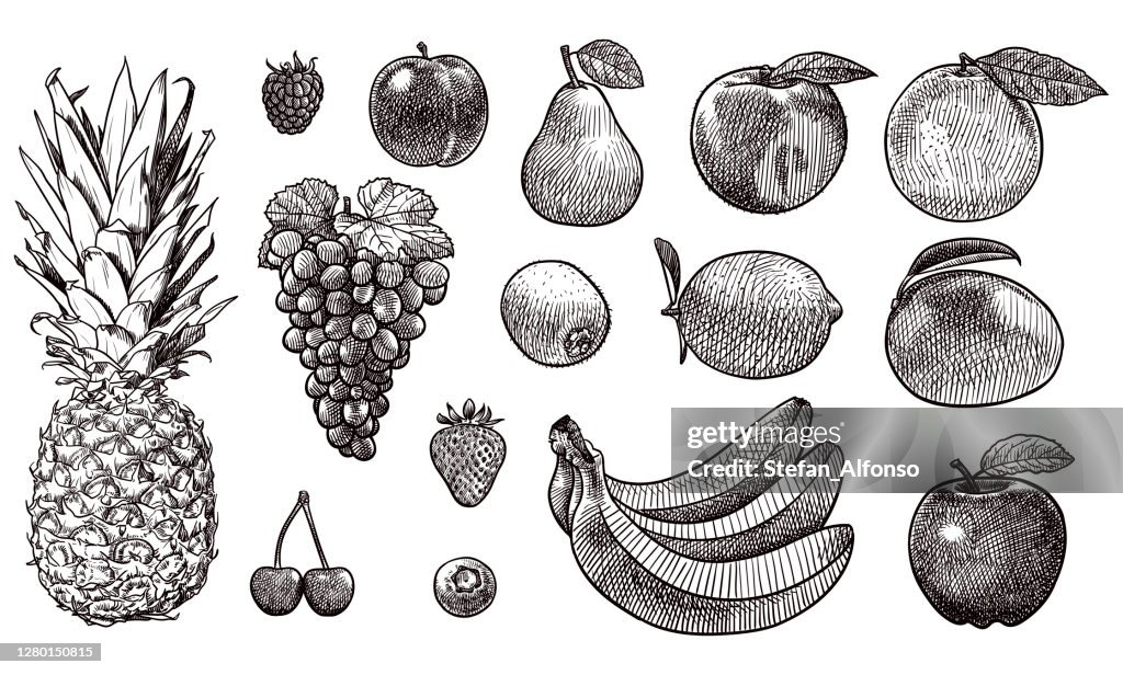 Dessins vectoriels de divers fruits