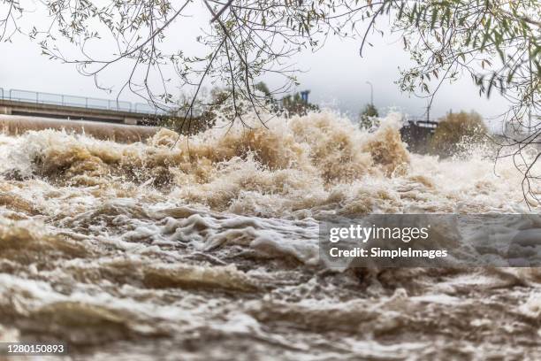 flooded river during persistent heavy rain. - enchente imagens e fotografias de stock