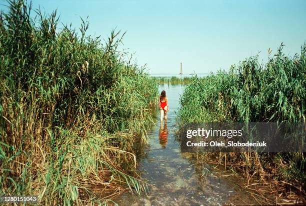 夏の川で泳ぐ女性 - アナログ ストックフォトと画像