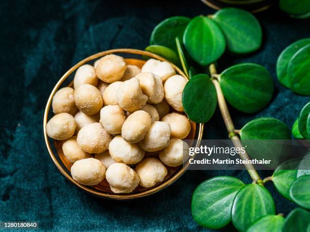 delikatess macadamia nüsse - auf grünem samt untergrund - macadamia stock pictures, royalty-free photos & images