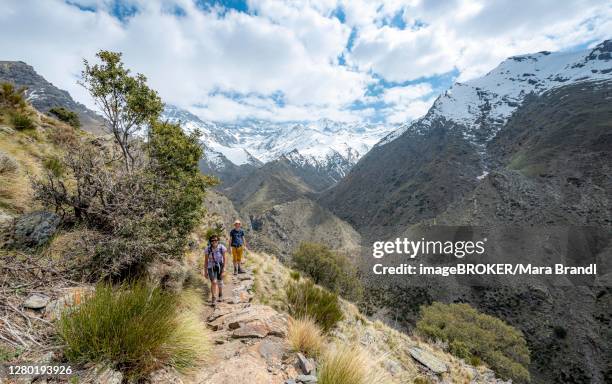 hiker on a hiking trail, hiking trail vereda de la estrella, behind sierra nevada with summits mulhacen and pico alcazaba, snow-covered mountains near granada, andalusia, spain - andalucian sierra nevada stock pictures, royalty-free photos & images