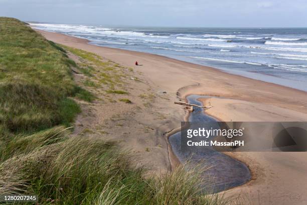 beach north of aberdeen on a windy day - aberdeen - scotland stock pictures, royalty-free photos & images