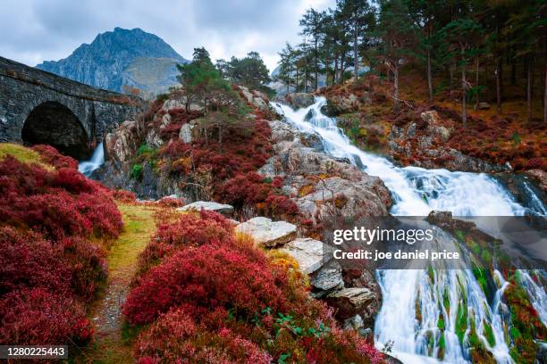 waterfall, bridge, tryfan, ogwen valley, llanberis, snowdonia, wales - heather stock-fotos und bilder