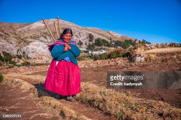 aymara woman on isla del sol, lake titicaca, bolivia - bolivia daily life stock pictures, royalty-free photos & images