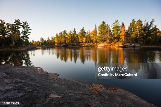 beautiful fall colors along the sentier nepisiguit mi'gmaq trail, new brunswick, canada - margem do rio imagens e fotografias de stock