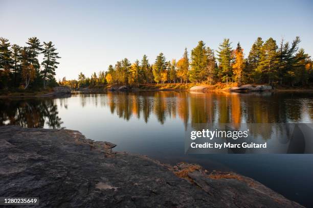 beautiful fall colors along the sentier nepisiguit mi'gmaq trail, new brunswick, canada - new brunswick canada 個照片及圖片檔