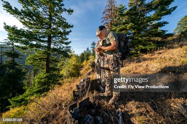 two men check navigation while hunting elk with crossbow - hunting stock pictures, royalty-free photos & images