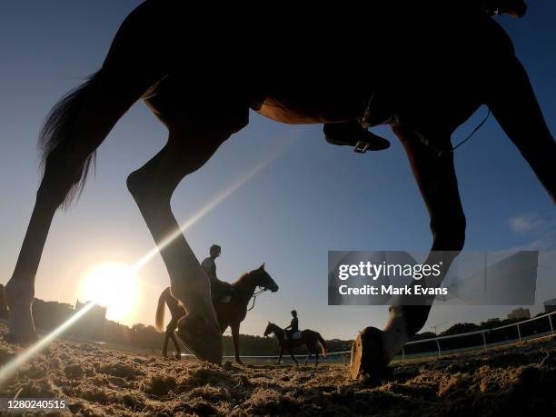 Riders and horses are seen during a trackwork session ahead of The Everest at Royal Randwick Racecourse on October 15, 2020 in Sydney, Australia.