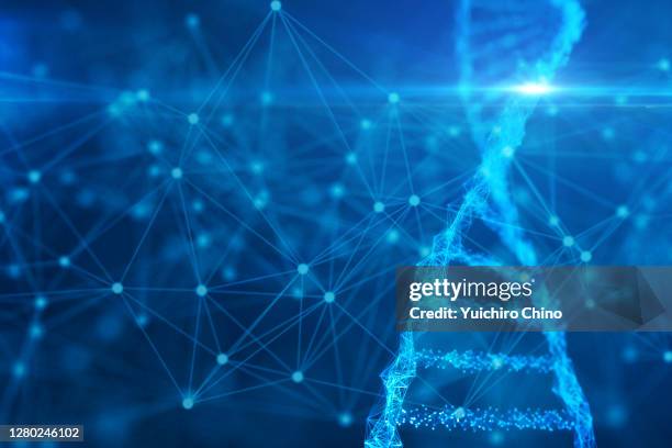 biotechnology molecular structure and network - dna helix stock-fotos und bilder