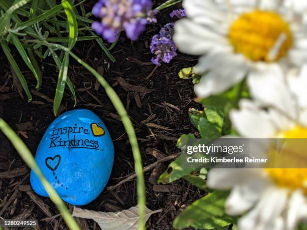 painted rock - kindness imagens e fotografias de stock