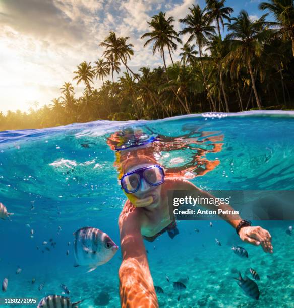 snorkeling near a tropical island. young man swims in the water. - snorkel bildbanksfoton och bilder