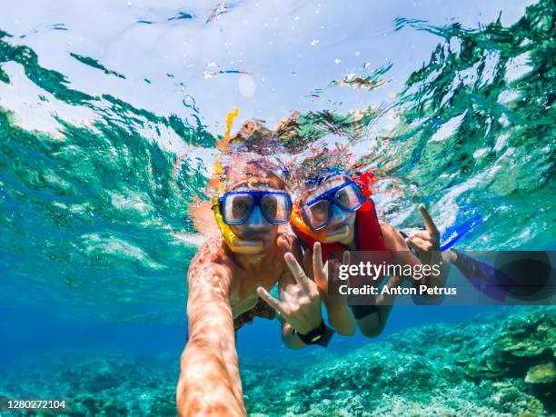 father and son snorkeling near the coral reef. vacation at sea - snorkel beach stock-fotos und bilder