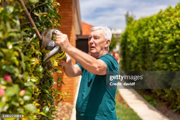 senior man trimming hedges in the garden - hedge trimming stock pictures, royalty-free photos & images