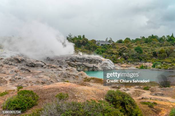 the pohutu geyser in rotorua - géiser pohutu imagens e fotografias de stock