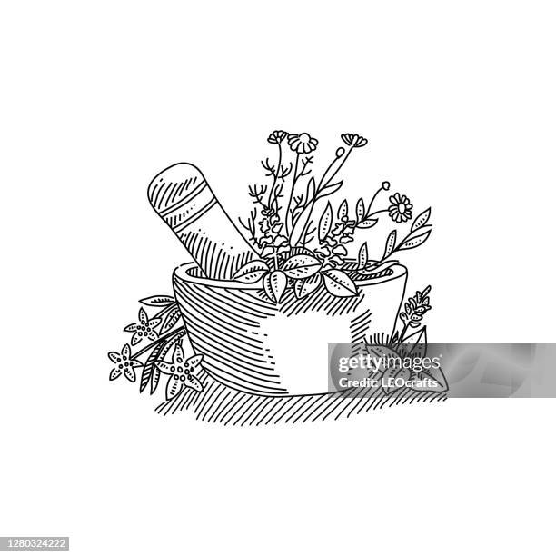 mortar and herbs drawing - ayurveda stock illustrations