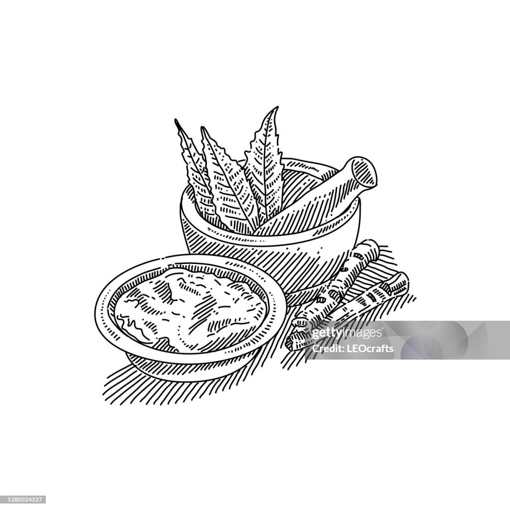 Mortar and Neem Drawing
