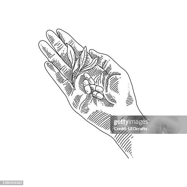 herbal pills in hand drawing - ayurveda stock illustrations