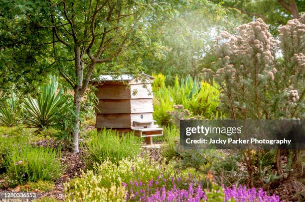 a wooden bee hive in an english summer garden with shrubs and trees - bee hive ストックフォトと画像