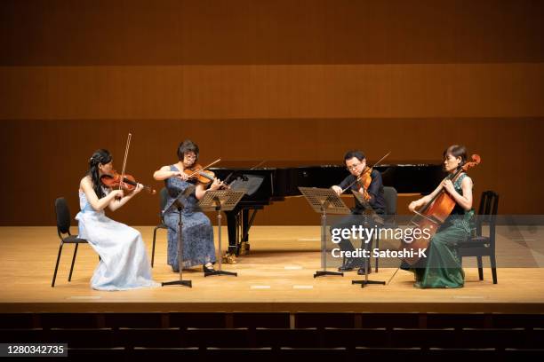 group of musicians playing instruments at classical concert - violin family stock pictures, royalty-free photos & images