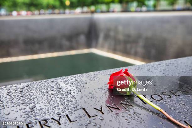 september 11 memorial red rose - patriot day stock pictures, royalty-free photos & images