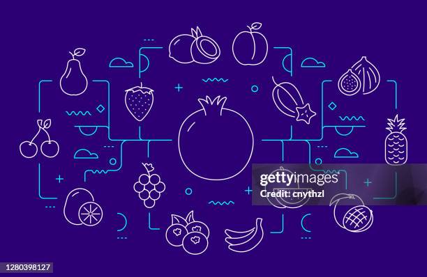 fruits related web banner line style. modern design vector illustration - pitaya stock illustrations